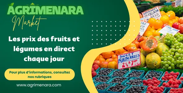 Agrimenara, statistiques des prix des fruits et légumes au maroc