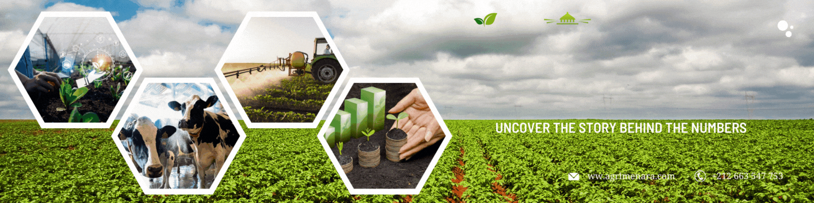 Agrimenara Banner 003