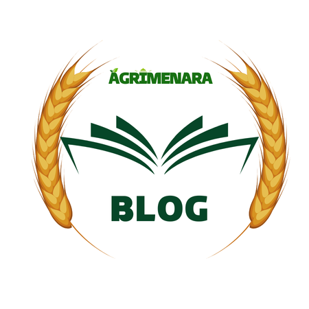 Agrimenara: Les exportations agricoles marocaines en hausse vers l'UE