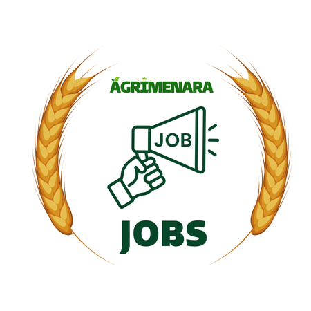 Le carrefour des carrières en agriculture au Maroc