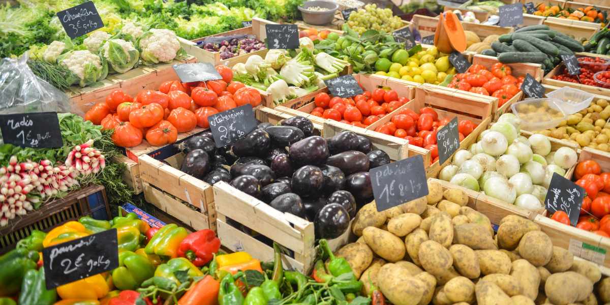 Tomates en tête : Le Maroc domine les exportations de légumes frais avec une croissance étonnante !