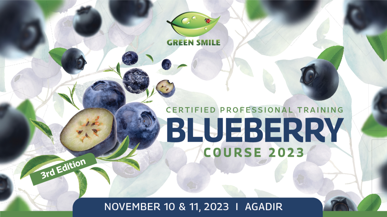 Blueberry Course 2023
