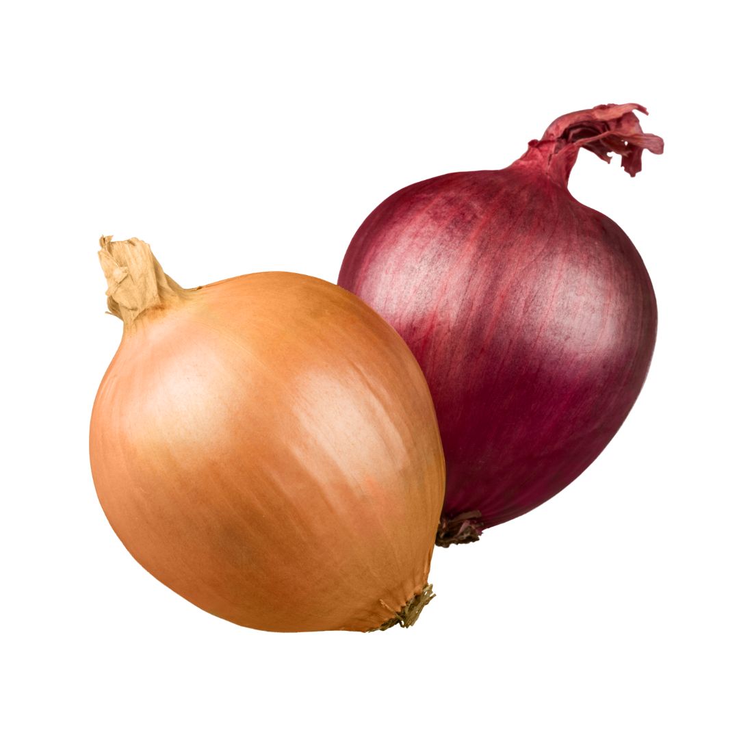 Agrimenara Prix de: Oignon le: 3/2/2026